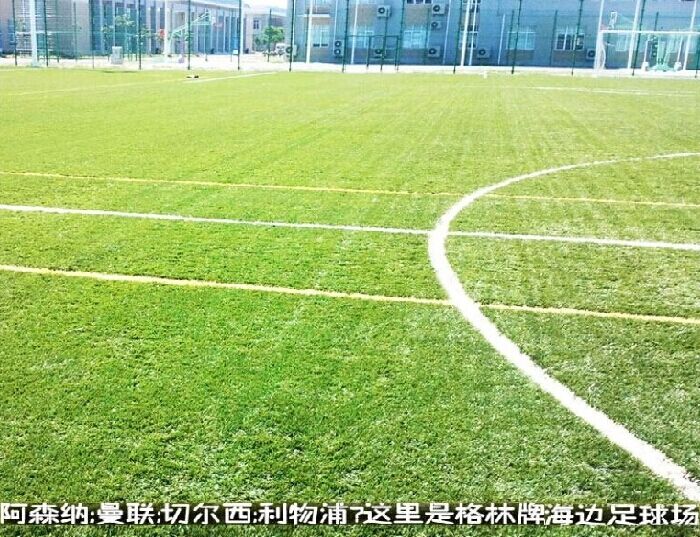 人造草坪