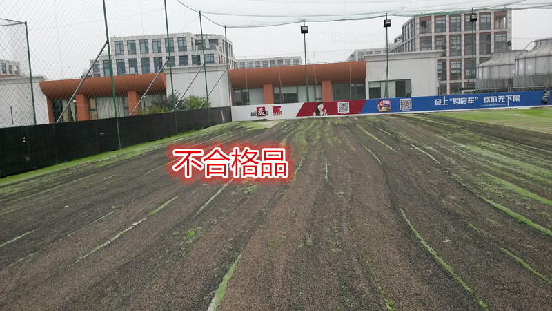 人造草坪