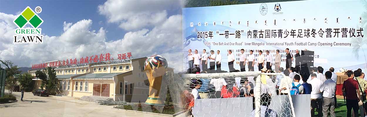 人造草坪 人工草坪 人造草