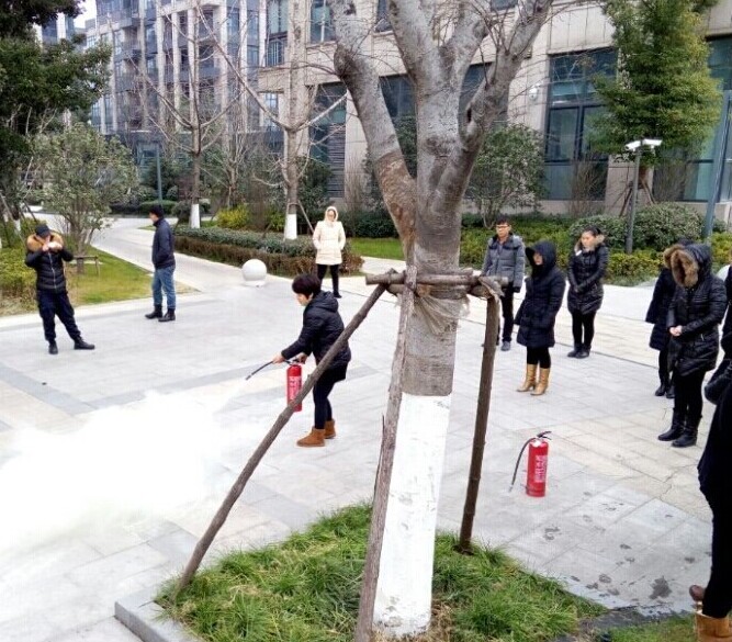 人造草坪