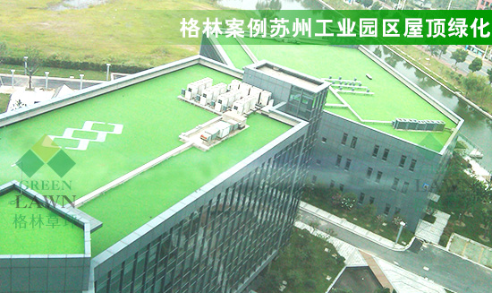 人造草坪 人工草坪