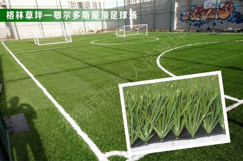 人造草坪