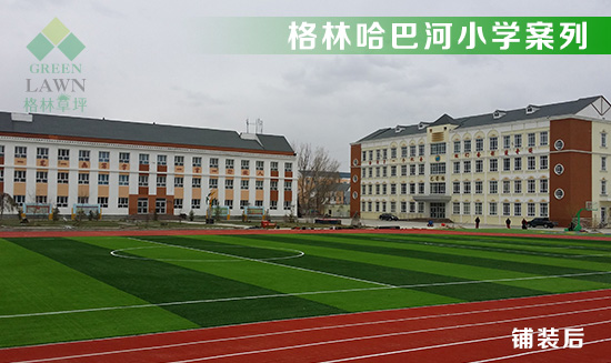 人造草坪 人工草坪